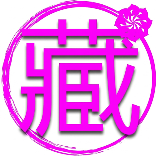 藏游岛